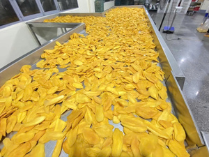มะม่วงอบแห้งธรรมชาติ ชิ้นใหญ่ อุดมด้วยใยอาหาร ขนมขบเคี้ยวเพื่อสุขภาพ รับผลิตแบรนด์ของคุณเอง (OEM) ผู้ผลิตจากเวียดนาม - Product Image 4