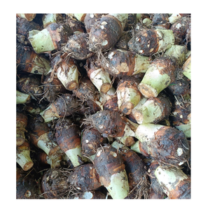 Cubos de taro congelados de origen vietnamita para aplicaciones minoristas y de servicios de alimentos - Product Image 6