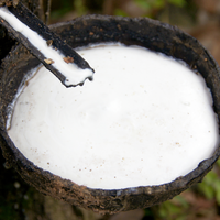 NGOC CHAU Latex Liquide Naturel Blanc Haute Pureté 60% DRC Qualité Revêtement Haute Teneur en Ammoniac Fût de 205KG Bon Prix