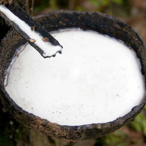 NGOC CHAU Latex Liquide Naturel Blanc Haute Pureté 60% DRC Qualité Revêtement Haute Teneur en Ammoniac Fût de 205KG Bon Prix - Product Image 1