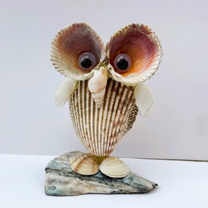 <b>Hedgehog</b> seashell craft natural snail shell figures decorative coastal display animal from seashells - Product Image 4