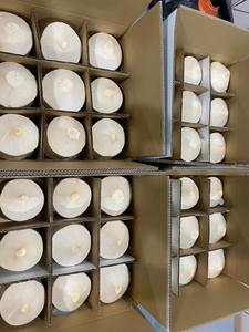 Cocos Frescos Orgánicos Jóvenes al por Mayor, Forma de Diamante, 20cm, Caja de 9 Unidades, Grado A, OEM - Product Image 6