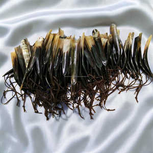 Calzador de Cuerno Natural de Toro de 18 Pulgadas Hecho a Mano con Cordón de Cuero al Mejor Precio - Product Image 5