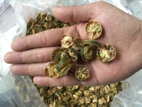 Gedroogde Calamansi/Gedroogde Kumquat Met De Beste Prijs Op De Markt Van Vietnam