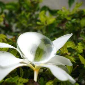 Shaligram krishna laddu gopal Murti หินธรรมชาติแฮนด์เมดสำหรับตกแต่งบ้านวัดคอลเลกชันของขวัญทางจิตวิญญาณ - Product Image 2