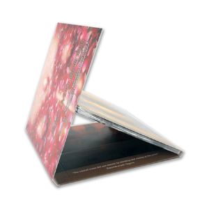 Carpeta para Folletos con Bolsillo, Plantilla Personalizada, Digipak para CD con Estuche Deslizable - Product Image 5