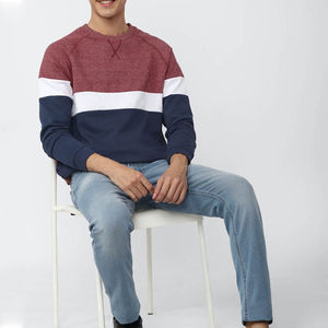 Sudadera de Hombre de Alta Calidad, Básica, con Bloques de Color, Oversize, Holgada, Cuello Redondo, Personalizada, de Mezcla de Algodón, Venta al por Mayor - Product Image 3