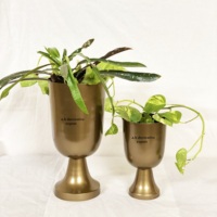 Vases en métal finition laiton de qualité supérieure, ensemble de 2 pièces, récipients à fleurs en forme de calice, pour mariage, fête, événements écologiques modernes, hôtels, intérieur