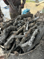Charbon de bois de longane en sac PP de 15 kg en vrac pour les entreprises de restauration, avec emballage personnalisé à marque privée, provenant du Vietnam