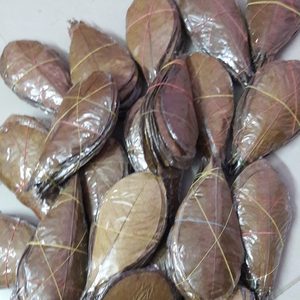 Produit écologique haut de gamme pour poissons en plastique indien Ketapang de YAMUNA, 21 à 25 cm, 30 feuilles - Product Image 5