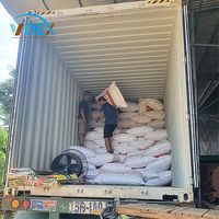 NOUVELLE Poudre de Bois Mélangée pour la Production de Papier WPC et de Barquettes à Œufs, Exportation du Vietnam, Marque VDEX