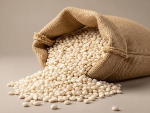 Granos de Maíz Blanco Secos al Aire, Sin OMG, Grado A, Origen Tailandia, 25 kg, Especificación Personalizada, Precio Económico - Product Image 5