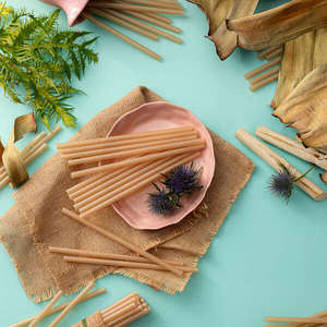 Pailles de canne à sucre jetables de luxe biodégradables 6mm 8mm 12mm pour accessoires de verres certifiés pour bars hôtels restaurants - Product Image 6