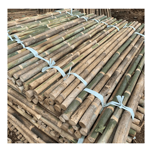 Poteau en bambou naturel, fabriqué à partir de bambou durable pour la construction de structures, les clôtures de jardin et les applications de meubles, origine Vietnam. - Product Image 4