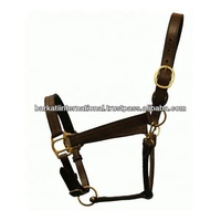 Halters en cuir pour vaches, halters pour taureaux.