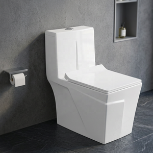 WC monobloc de style sud-américain en céramique à siphon, à double chasse, à poser au sol, pour salles de bain et projets extérieurs - Product Image 2