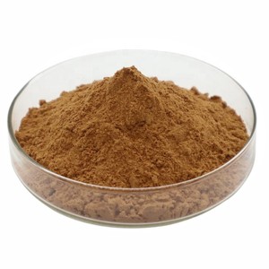 Poudre de cannelle de qualité supérieure, issue de des feuilles de cannelle soigneusement sélectionnées, pour les applications culinaires, les aliments fonctionnels et le bien-être quotidien. - Product Image 4