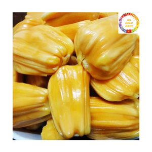 Frozen Jackfruit Slices IQF | Natural Sweet Seedless | Bulk Packing 10kg Carton | Vietnam Factory - Product Image 2