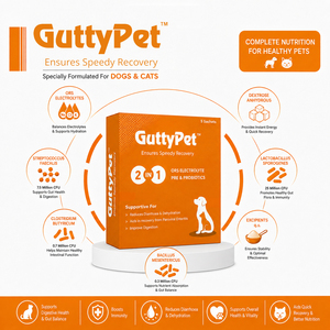 SKY EC GutterPet 2 1 ORS ผงอิเล็กโทรไลต์พร้อมโปรไบโอติกสำหรับสุนัขและแมว บำรุงสุขภาพข้อต่อและระบบย่อยอาหาร สำหรับทุกวัย แบบซอง - Product Image 3