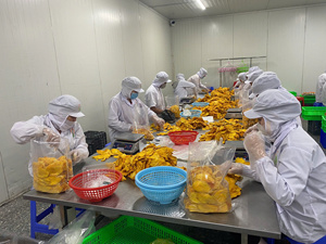 Tranches de mangue purement végétales |   Sans culpabilité et naturellement sucré – Bouchée tendre et moelleuse - Product Image 2