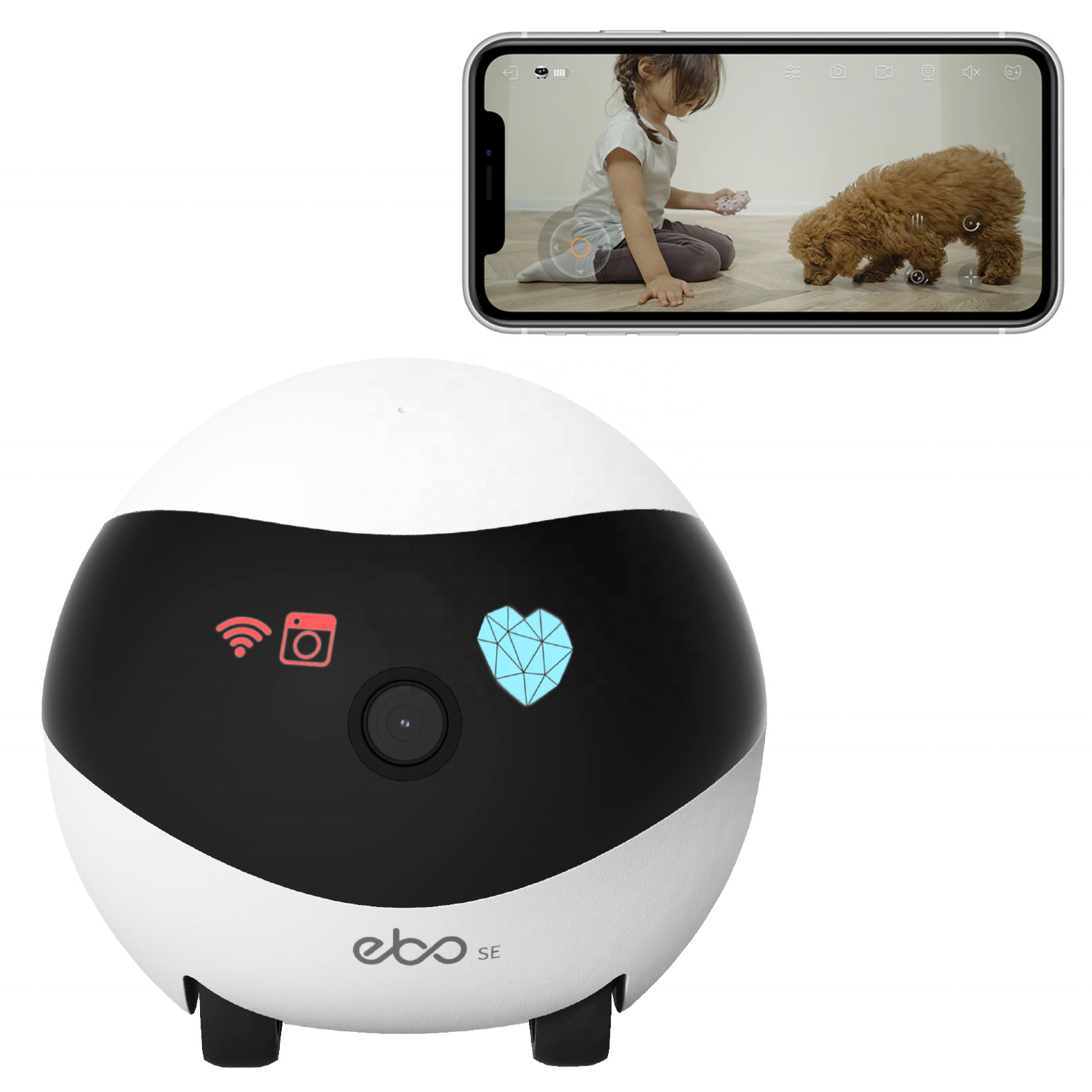 Nouvelle application intelligente contrôle Ebo Se compagnon pour animaux de compagnie Robot caméra électronique jouets robotiques interactifs pour chat enfants les personnes âgées