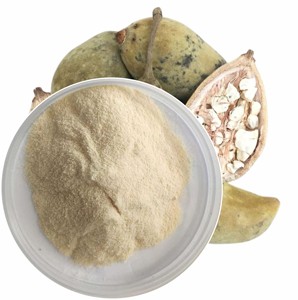 Poudre de fruit de baobab 100% naturelle, riche en vitamine C, fibres alimentaires et antioxydants naturels, pour soutenir la santé intestinale et la digestion - Product Image 1