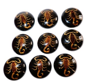 Escorpión Dorado, Espécimen Real, Cabujón de Plástico Redondo de 38x38 mm, Base Plana Negra para Manualidades y Joyería - Product Image 5