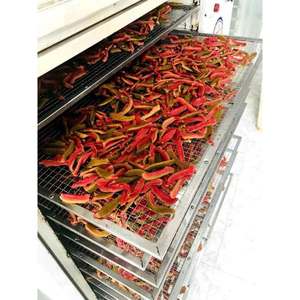 Bandes de goyave séchées naturelles de haute qualité, artisanales et moelleuses, collation de fruits gourmande, fournisseur en gros - Product Image 6
