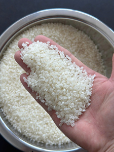 ข้าวพรีเมียมโคชิฮิคาริ ชูชิ ไรซ์ จาโปนิก้า ข้าวเม็ดกลม - ขายส่งจำนวนมาก 5กก./10กก./20กก./25กก./50กก. |   ราคาดีที่สุดและคุณภาพสูง - Product Image 5