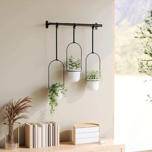 Support mural minimaliste en métal pour plantes avec crochets elliptiques pour plantes vertes d'intérieur - Product Image 5