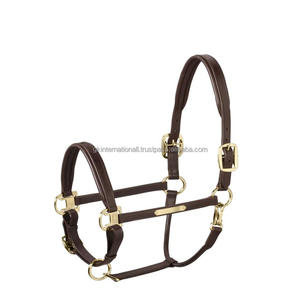 Cabestro de Cuero Suave y Cómodo de Primera Calidad, Ajustable, Hecho a Mano, para Uso en Establos y Exhibiciones - Product Image 5