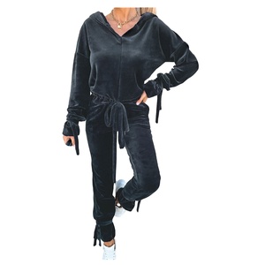 Chándal sexy azul personalizado para mujer, chándal elegante de tela de terciopelo para mujer, chándal para correr, chándal para mujer con estilo de cremallera 2026 - Product Image 2