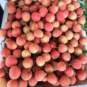 Lichi Fresco de Vietnam, Piel Roja, Pulpa Blanca, Fruta de Alta Calidad para Exportación Global - Product Image 2