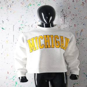 Sweat-shirt à col montant gris cendré MICHIGAM 100% jaune avec broderie appliquée, col large, URBAN PRODUCTIONS - Product Image 1