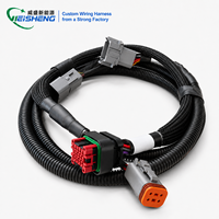 Conjunto de Cables de Arnés de Cableado Automotriz a Prueba de Agua Personalizado para Motor y Sistema de Control ECU