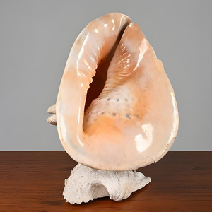 Lampe de table décorative en abalone, lampes en coquillages faites à la main, base en coquillages, lampe de style côtier à vendre - Product Image 5