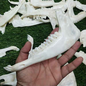 Cuchara para Zapatos de Madera de Mango Pequeña, Estilo Animal, Ecológica, Hecha a Mano, a un Precio Competitivo - Product Image 3