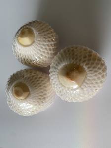 Coco Diamante, Fruta Tropical Orgánica con Cáscara Entera, Grado A, Proveedor de Vietnam, Caja de 9 Unidades, Marca Viet Delta - Product Image 5