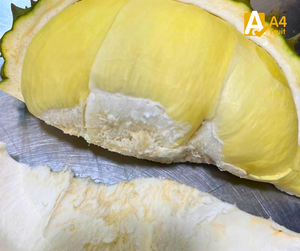 Durian Tailandés Original, Sabor Tropical Fresco, Durian Dulce con Pulpa Dorada, 500g, 14 Días de Duración, Durian Tailandés Congelado al por Mayor - Product Image 2