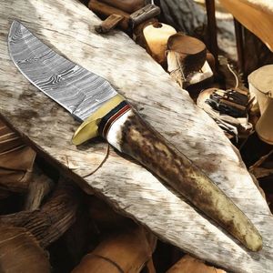 Cuchillos de Caza Hechos a Mano de Primera Calidad con Hoja Fija Afilada, Mango Ergonómico de Madera y Funda de Cuero para Supervivencia en Campamentos al Aire Libre - Product Image 5