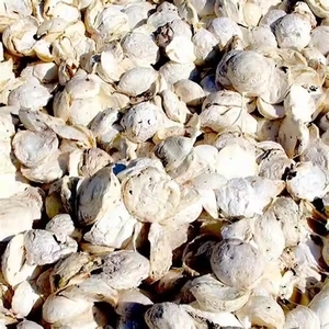 Morceau de tasse en caoutchouc naturel du Vietnam: de haute qualité, de qualité standard avec un motif liquide, meilleur prix pour vos besoins. - Product Image 1