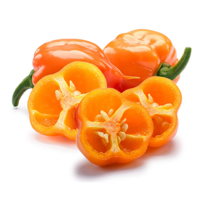 พริกฮาบาเนโรสด ปลอดจีเอ็มโอ คุณภาพสูง สำหรับผู้ซื้อเชิงพาณิชย์ - Product Image 3