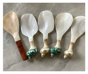 Juego de Cucharas de Concha Marina Hechas a Mano, Utensilios de Concha Natural Pulidos, Decoración Ecológica para el Hogar con Temática Natural - Product Image 1