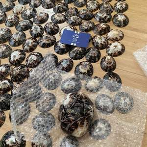 FAVORITO DE LOS CLIENTES 2026 Copa de lactancia Limpet Shell con cubierta de concha pulida para recolección de leche y uso en lactancia - Product Image 6