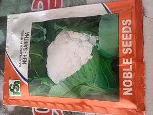 เมล็ดกะหล่ำดอกเกรดพรีเมียมสำหรับการเกษตร - ให้ผลผลิตสูง ทนโรค คุณภาพส่งออก - Product Image 6