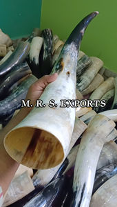 Cuernos de Buey para Beber Estilo Vikingo, Acabado Natural, Aptos para Alimentos, Cuernos Medievales para Beber a Precios Muy Accesibles - Product Image 5