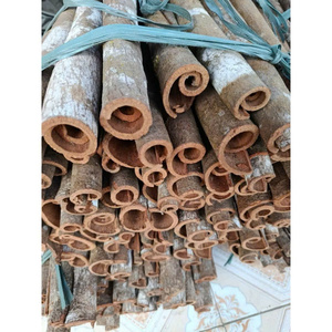 Canela en Dedos Premium AD Cruda de Vietnam, Seca y Cortada, 2 cm 3 cm, Alto Contenido de Aceite, Origen Yen Bai, Exportación a Granel, Sin OGM, IIGLOBAL - Product Image 4