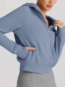 Custom Logo Unisex Hoodie Wholesale 100% Cotton Fleece Pullover OEM/ODM Heavyweight Streetwear Sweatshirt Bulk Supplier - Product Image 5