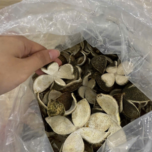 Cáscara de Naranja Natural de Vietnam para un Delicioso Té Herbal y como Ingrediente Aromático para Panadería, Suministro de 99 Gold Data Firm - Product Image 1