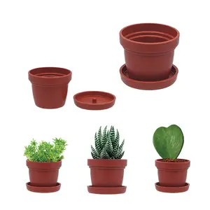 กระถางดอกไม้ขนาดเล็กสำหรับพืชอวบน้ำสถานรับเลี้ยงเด็กสด - Product Image 1